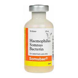 Somubac Cattle Vaccine Zoetis Animal Health